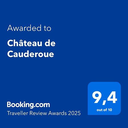Chateau De Cauderoue Nérac Exteriér fotografie