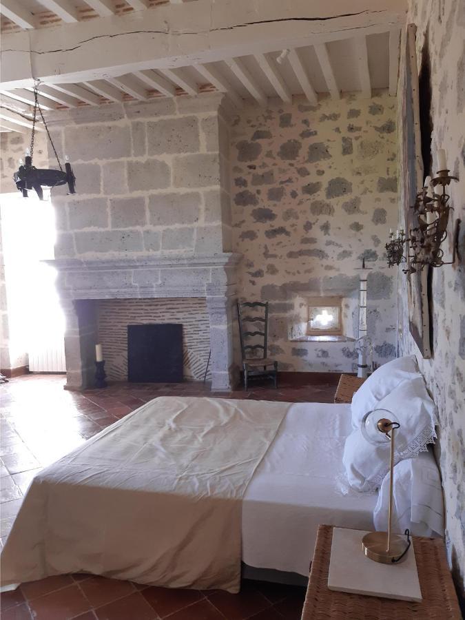 Chateau De Cauderoue Nérac Exteriér fotografie